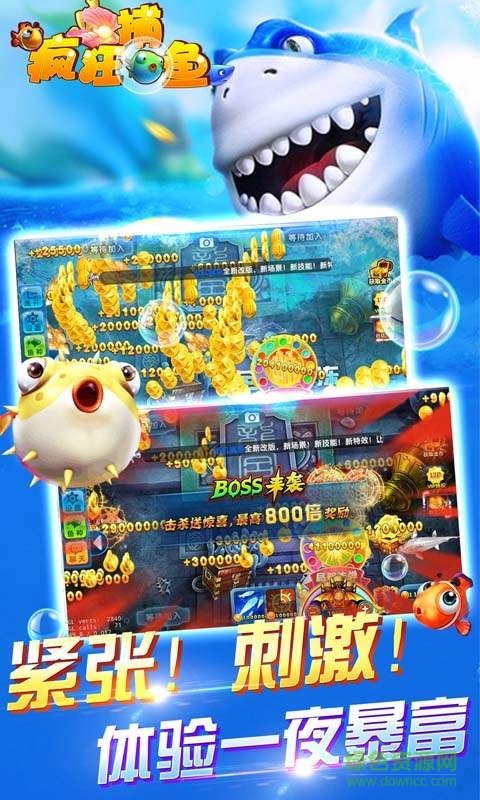 鱼丸游戏