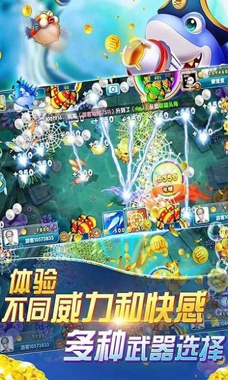 鱼丸捕鱼大作战最新版 鱼丸捕鱼大作战最新版