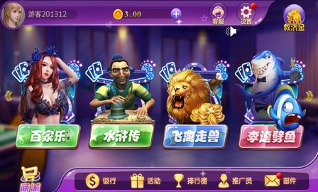 龙舟棋牌棋牌