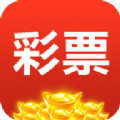 40584cm(彩票)