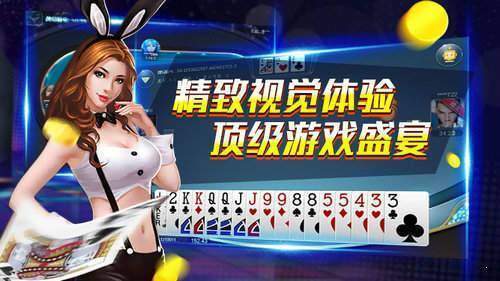 棋牌单机游戏 棋牌单机游戏